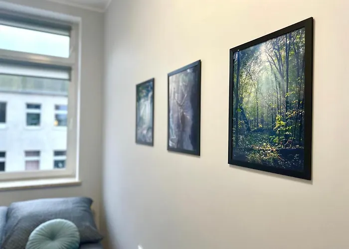 Mmrent Forest Room
