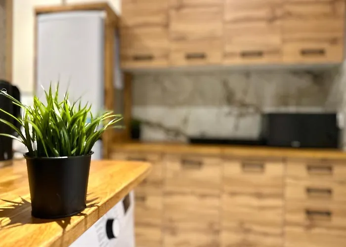 Mmrent Forest Room